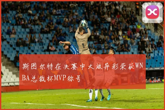 斯图尔特在决赛中大放异彩荣获WNBA总裁杯MVP称号